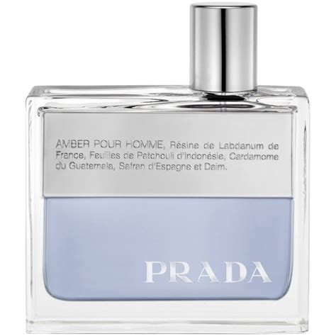 prada amber 50ml edp|prada amber pour homme review.